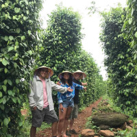 Bong Lai Valley Tour
