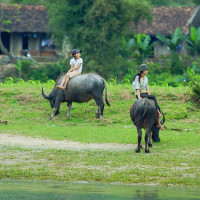 Phong Nha Bike Tours 2