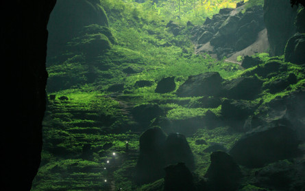 Hang Son Doong Cave – The world’s biggest cave