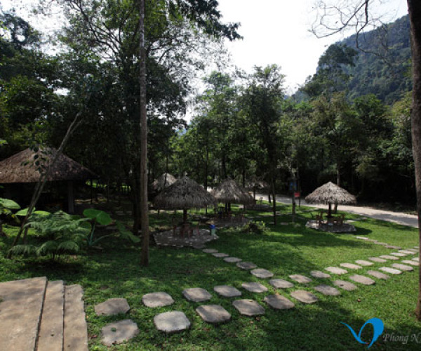Phong Nha Paradise Cave And Dark Cave Tour Travel Tours A