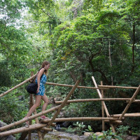 Tour Du Lich Phong Nha Thac Gio Vuon Thuc Vat 2