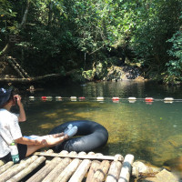 Tour Du Lich Phong Nha Thac Gio Vuon Thuc Vat 3