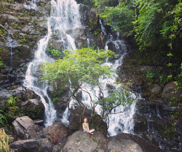Tour Du Lich Phong Nha Thac Gio Vuon Thuc Vat 1