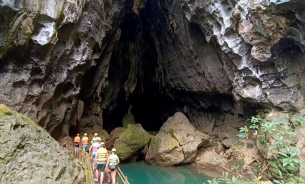 Bài giới thiệu về Vườn quốc gia Phong Nha Kẻ Bàng