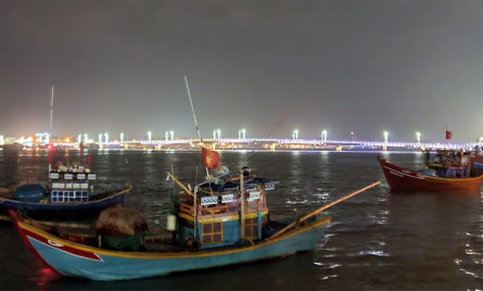Trải nghiệm câu mực đêm biển Nhật Lệ cùng ngư dân cực thú vị