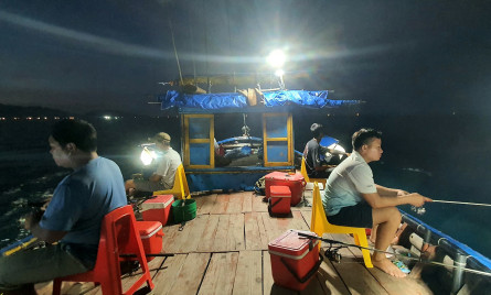 Tour câu mực đêm biển Nhật Lệ cùng ngư dân